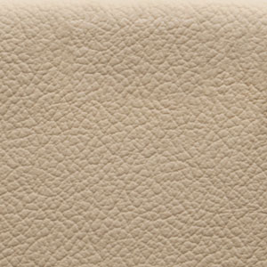 Birch Blush Beige