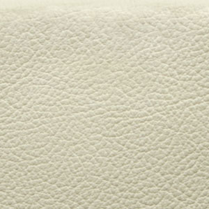 Birch Cream