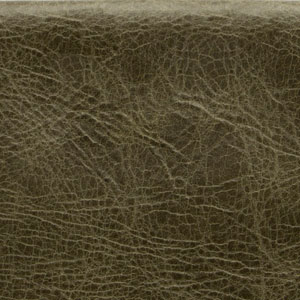 Old English Alga