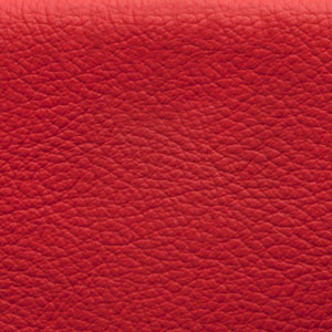 Shelly Flame Red