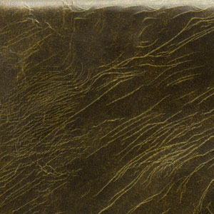 Tudor Birch