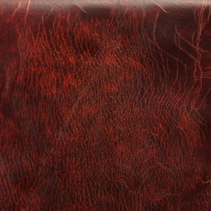 Tudor Oxblood